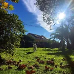 Mirapenas