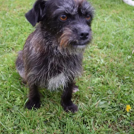 Apartamento Mirapenas Verdicio