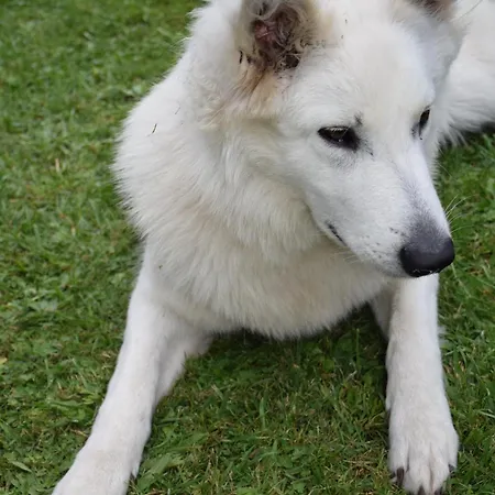 Apartamento Mirapenas